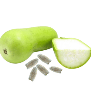 BOTTLE GOURD SEED OIL
