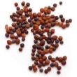 BROCCOLI SEED OIL