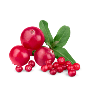 CRANBERRY SEED OIL