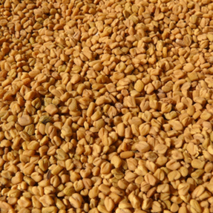 FENUGREEK OIL