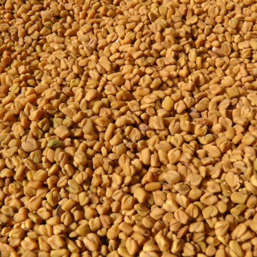 FENUGREEK OIL