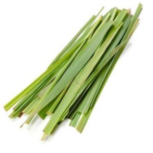 PALMAROSA ESSENTIAL OIL