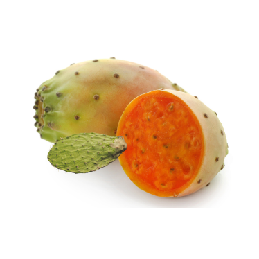 PRICKLY PEAR SEED OIL