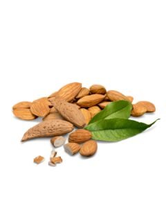 Almond Sweet Carrier Oil