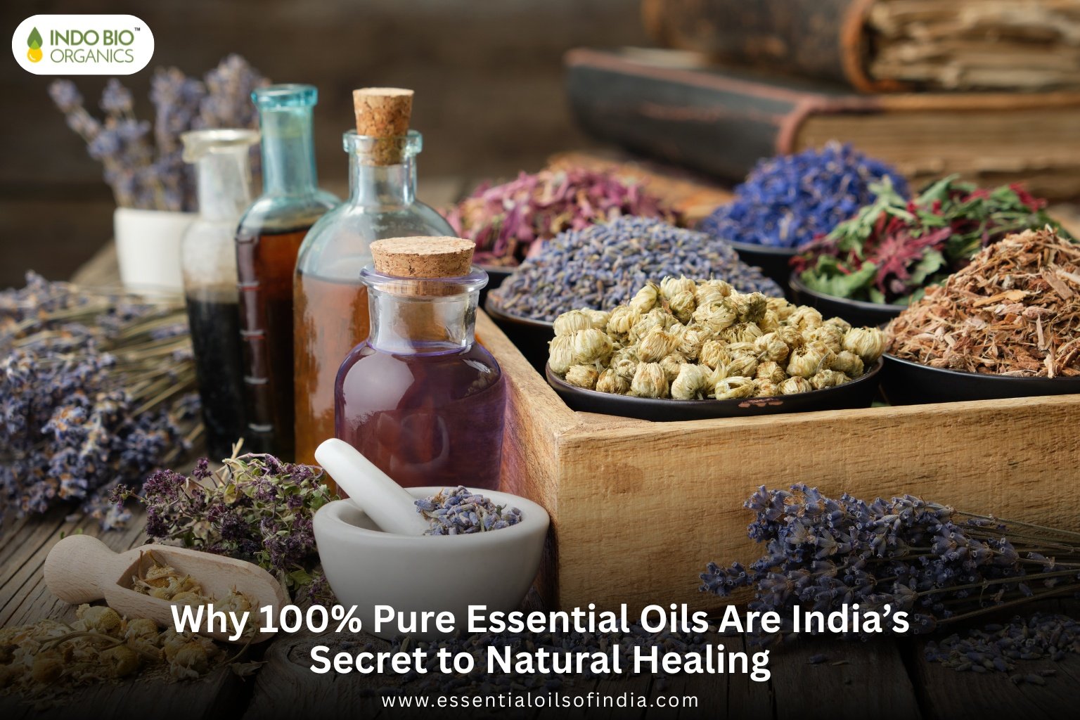Why 100% Pure Essential Oils Are India’s Secret to Natural Healing