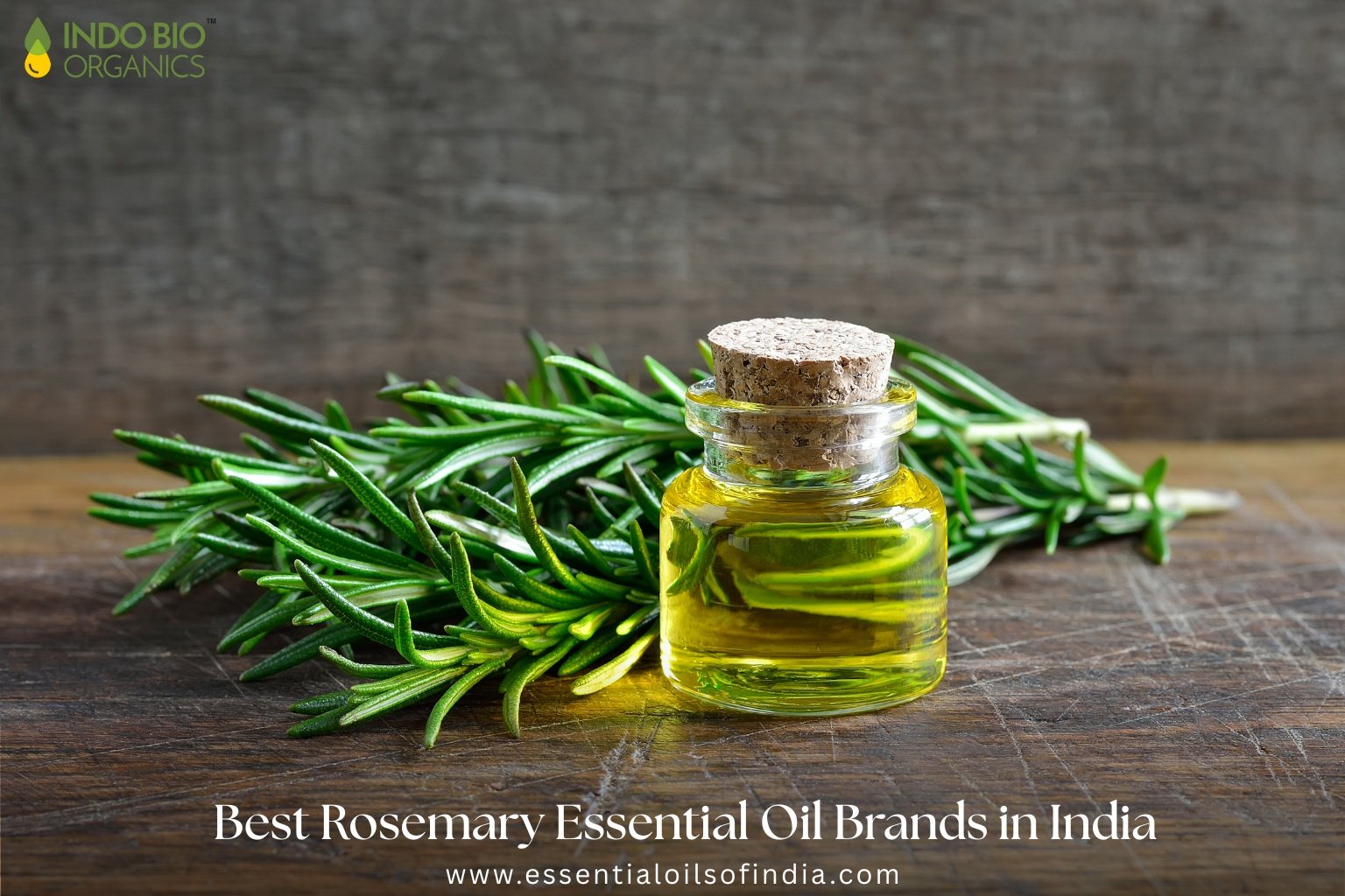 Best Rosemary Essential Oil Brands in India