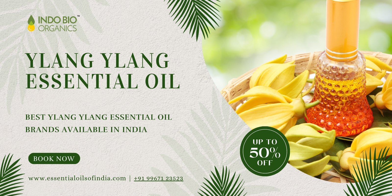 Best Ylang Ylang Essential Oil Brands Available in India