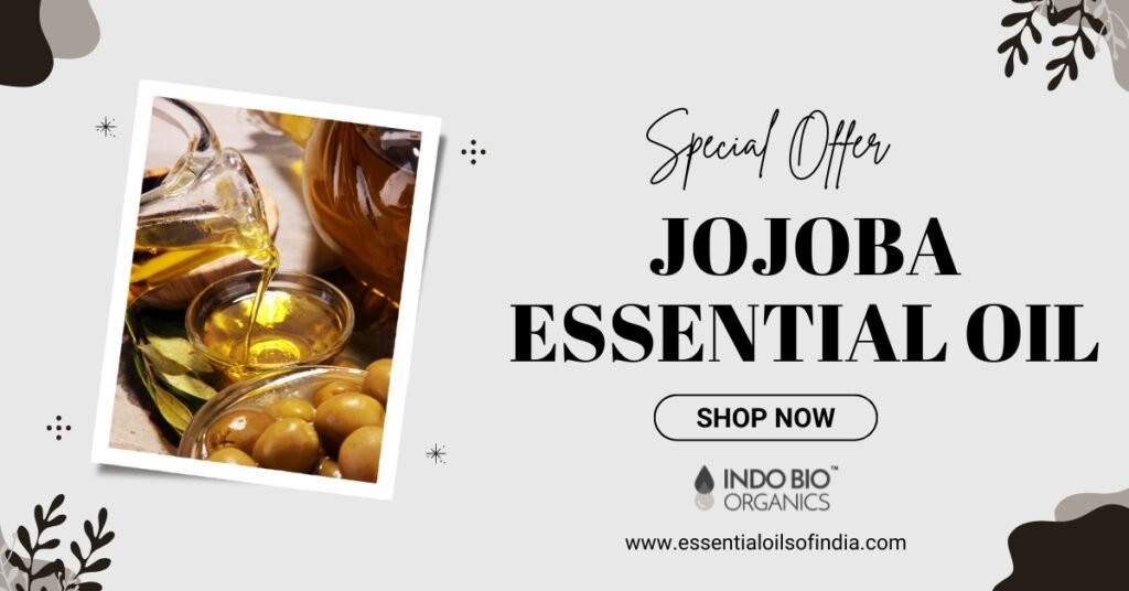 Best places to purchase jojoba essential oil wholesale in India