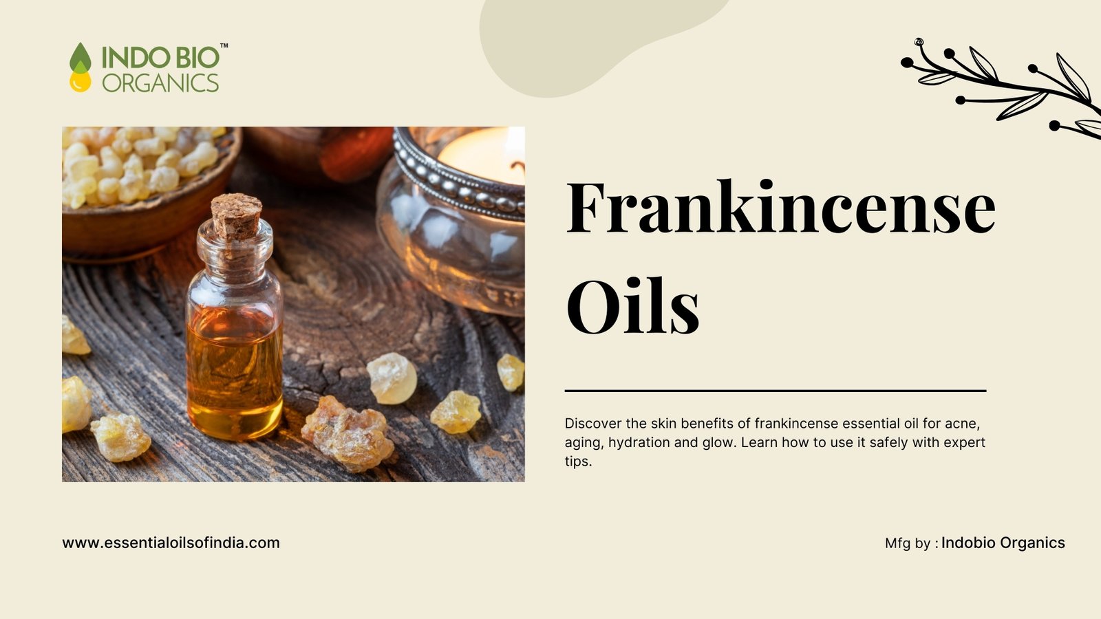 What Are the Skin Benefits of Using Frankincense Essential Oil