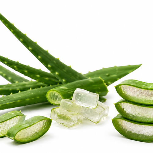 ALOE VERA OIL