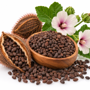 AMBRETTE SEED ESSENTIAL OIL