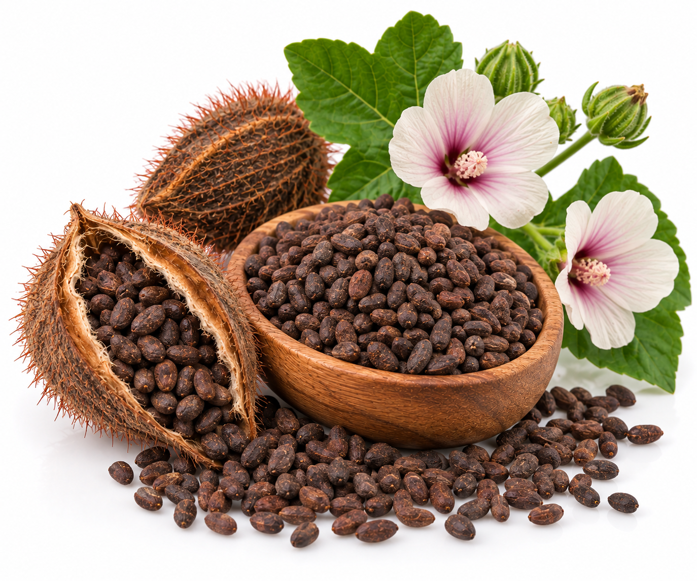 AMBRETTE SEED ESSENTIAL OIL 2