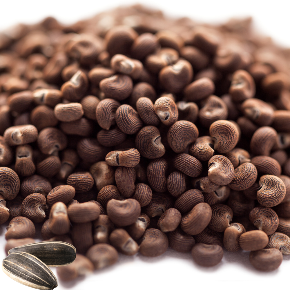 AMBRETTE SEED ESSENTIAL OIL