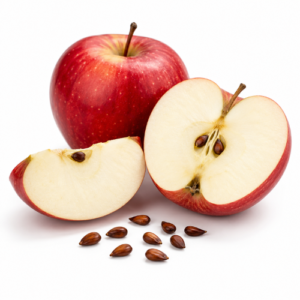 APPLE SEED OIL