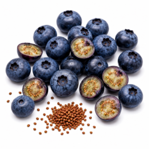 BLUEBERRY SEED OIL