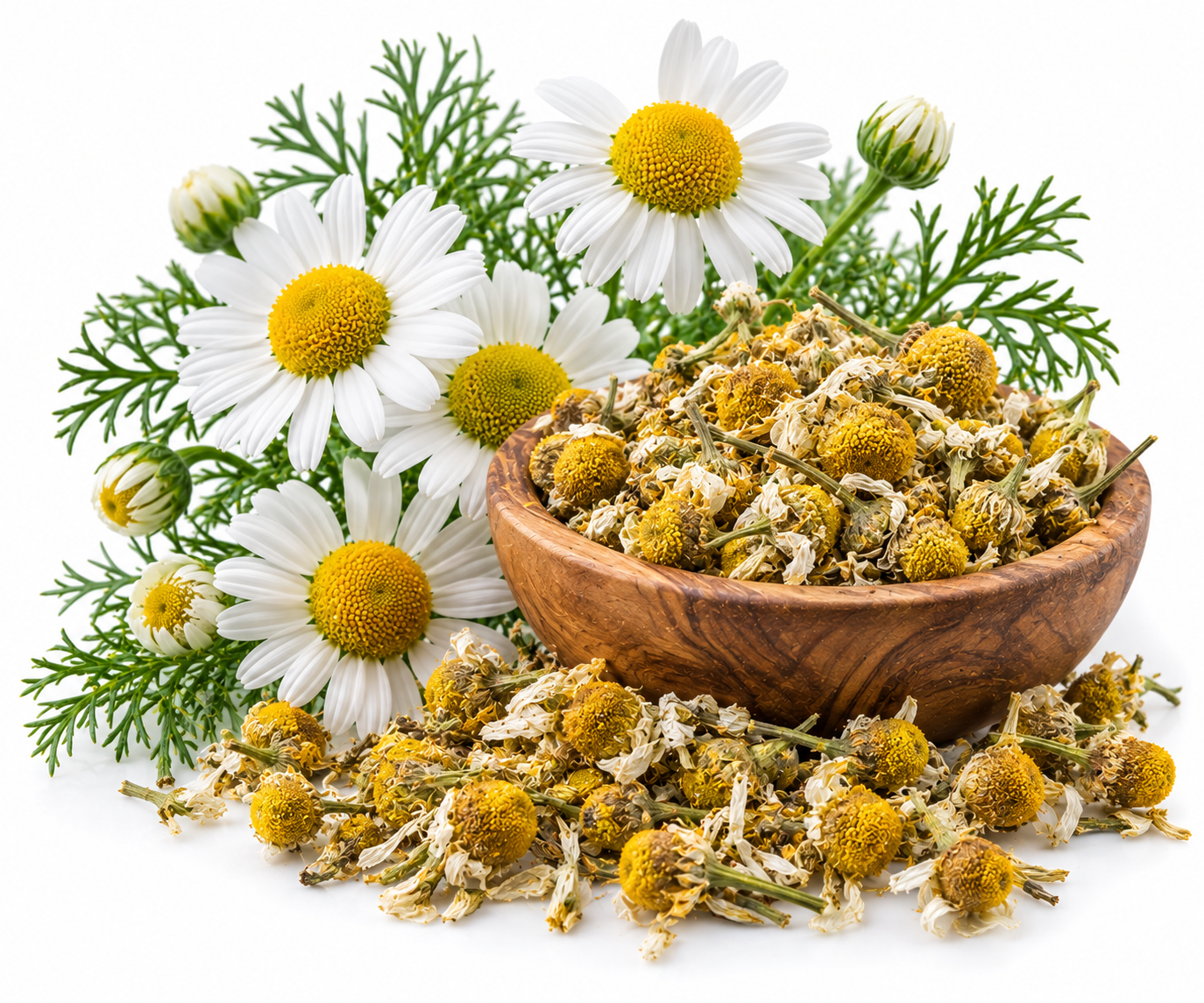 CHAMOMILE ESSENTIAL OIL German Blue