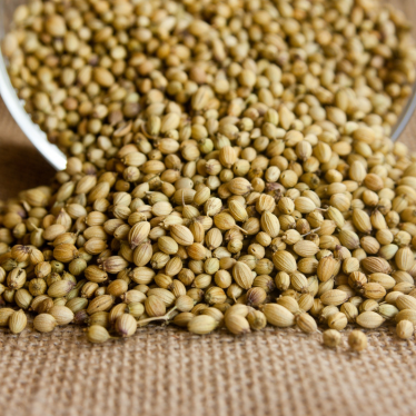 CORIANDER SEED ESSENTIAL OIL