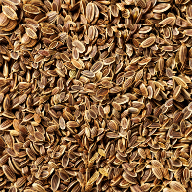 DILL SEED ESSENTIAL OIL