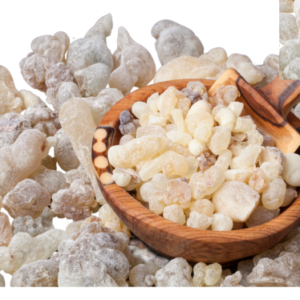 FRANKINCENSE SERRATA ESSENTIAL OIL