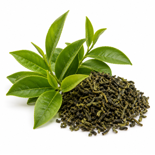 GREEN TEA OIL