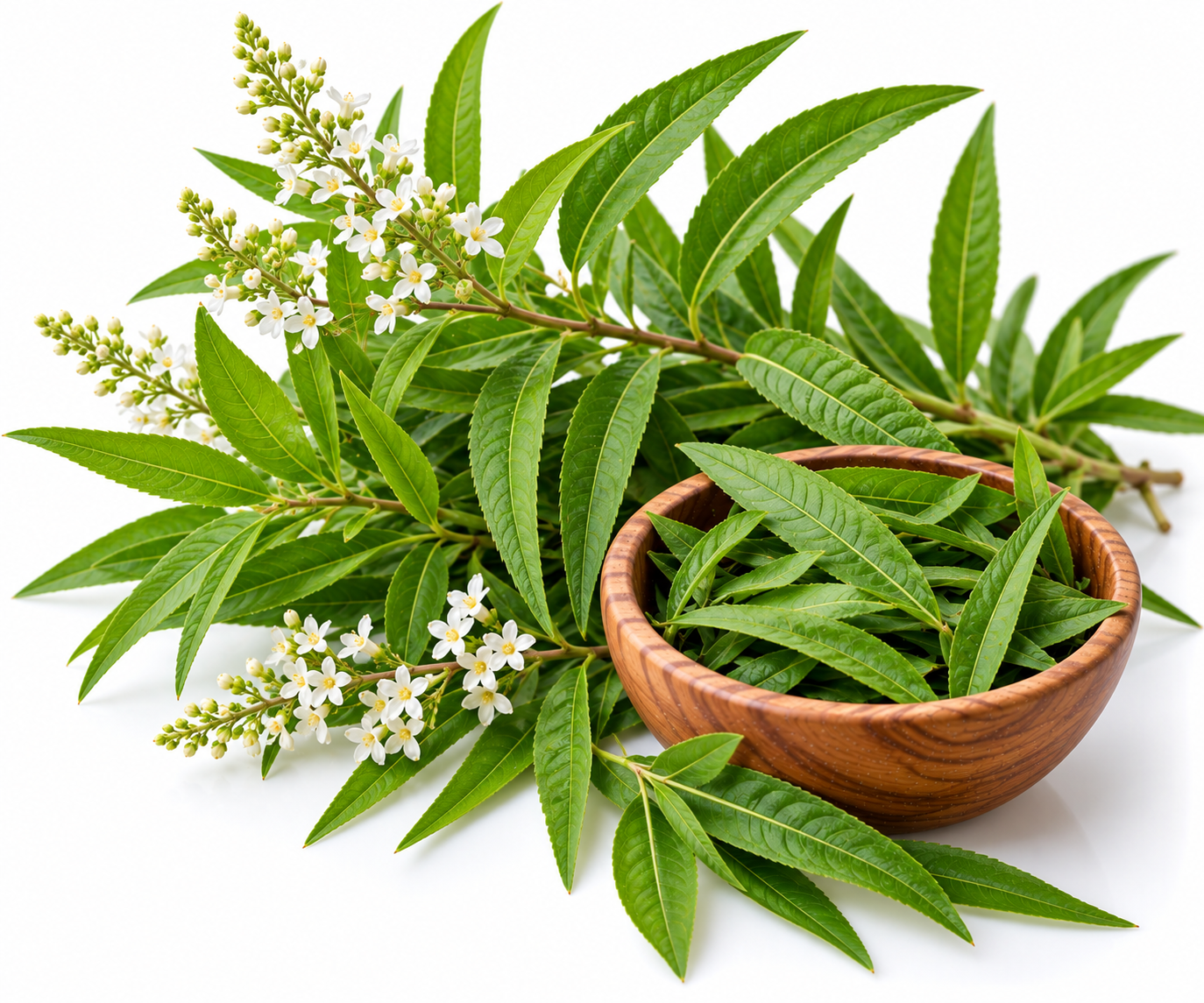 LEMON VERBENA ESSENTIAL OIL COLDPRESS