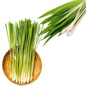 LEMONGRASS ESSENTIAL OIL