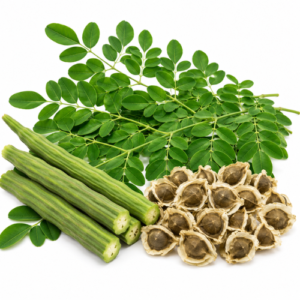 MORINGA OIL