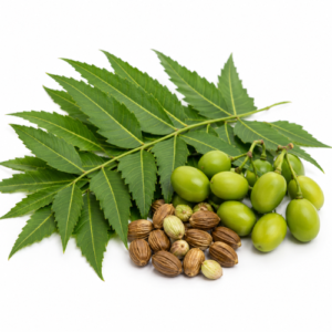 NEEM OIL