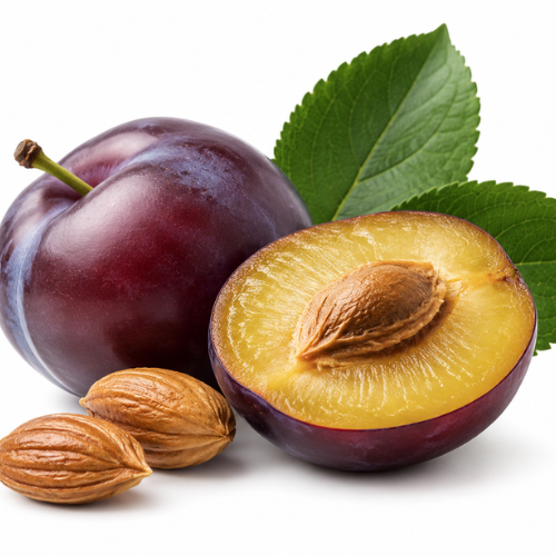 PLUM KERNEL OIL
