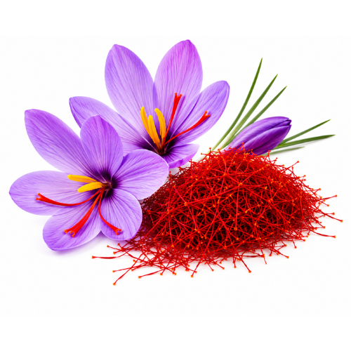 SAFFRON (KESAR) OIL