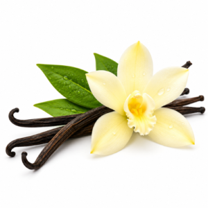 VANILLA HYDROSOL
