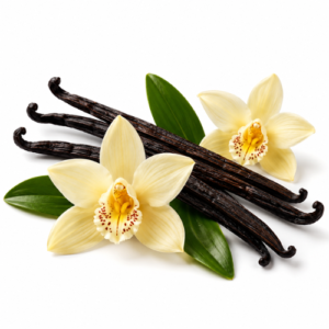 VANILLA INFUSED OIL