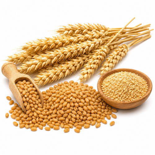 WHEAT GERM OIL