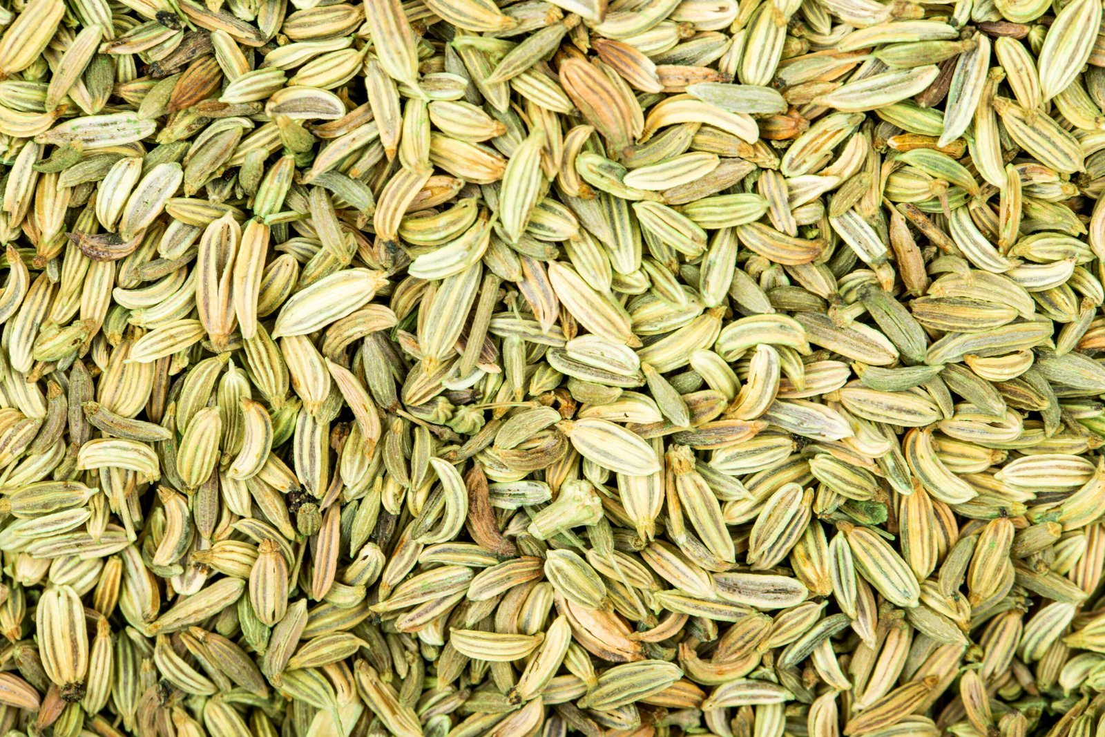 ANISE ESSENTIAL OIL