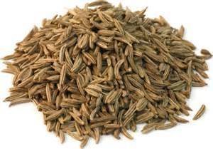 CARAWAY ESSENTIAL OIL
