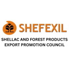 footer logo 6